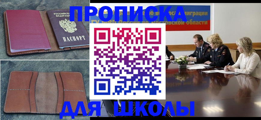 прописка от собственника в Наволоках